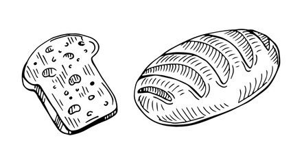 Bread vector drawing. Bakery product sketch. Vintage food illustration for shop, bread house label, menu or packaging design.