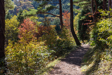 日本の岡山県と鳥取県に跨る三平山の美しい紅葉