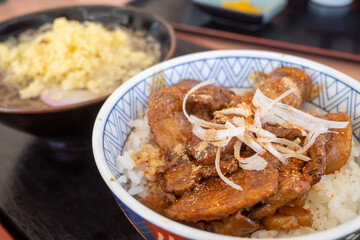 とても美味しい日本の豚丼と蕎麦