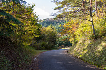 日本の岡山県と鳥取県に跨る三平山の美しい紅葉