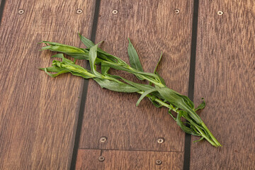 Green tarragon herb spice for cooking