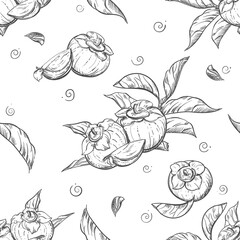 Detailed hand drawn black and white illustration seamless pattern of persimmon, date-plum, leaf. sketch. Vector. Elements in graphic style label, card, sticker, menu, package.