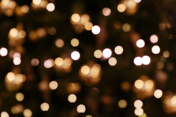 Abstract holiday light in bokeh (background)