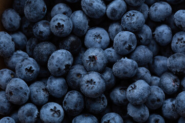 Close up of fresh blueberry background food healthy