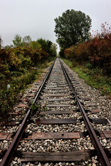 Fototapeta premium Tracks