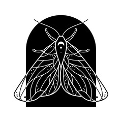 Stylized black and white moth in arch shape frame. Hand drawn line art ornated vector illustration. Natural design