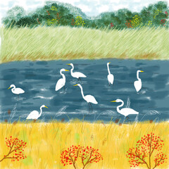 Autumn landscape with Great White Egrets on a lake. Digital illustration.