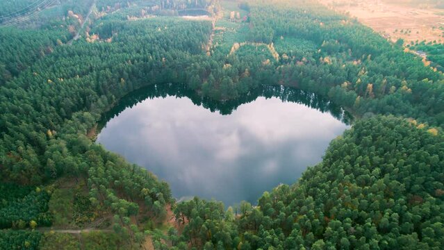 Wonderful lake surrounded by trees and nature in the middle of the forest. Concept of earth day, environment and ecology.