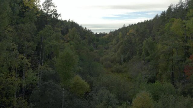 Fly low through valley in autumn Sweden prt 2