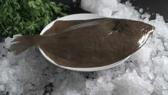 Video of fresh turbot surrounded by ice. Healthy nutrition concept.