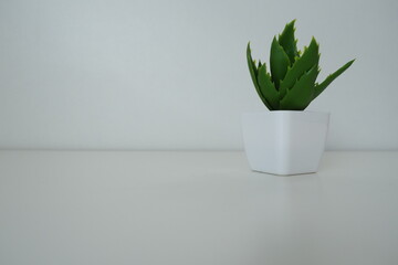 Interior decor. Artificial green plant in a white small pot against a white wall. Evergreen imitation of aloe, sansevier or kalanchoe to decorate an office, room or apartment.
