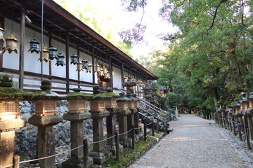  A Japanese shrine : Kagura-den Hall for Kagura dance  in the precincts of Kasuga-taisha Shrine in Nara City in Nara prefecture　日本の神社: 奈良県奈良市の春日大社境内にある神楽殿