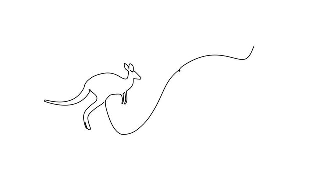 Animated self drawing of single continuous line draw adorable jumping kangaroos for national zoo logo. Australian animal mascot concept for travel tourism campaign icon. Full length one line animation