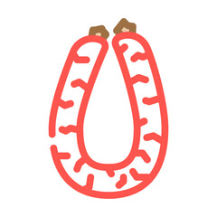 beef sausage meat color icon vector. beef sausage meat sign. isolated symbol illustration