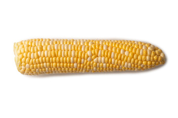 Yellow sweet corn isolated on white background. Copyspace.