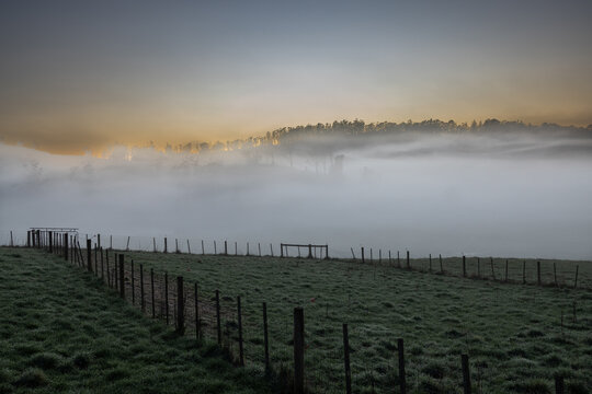Foggy sunrise over fenced paddocks near Sheffield