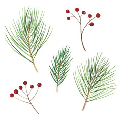 Obraz na płótnie Canvas Christmas tree set branch isolated on white background. Watercolor hand drawn Xmas illustration Art design decoration