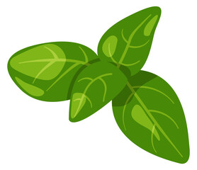 Basil cartoon icon. Green leaves aroma seasoning