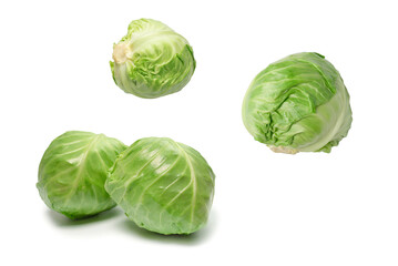 Cabbage isolated on white background.