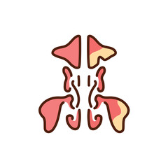 Sinusitis in the sinus color line icon. Pictogram for web page
