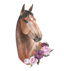 Watercolor illustration of a brown horse with delicate peonies isolate