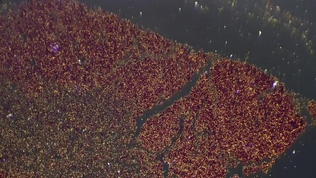 Transversal section of thymus in macro footage under microscope 200x filmed with cross light. Scientific slide with piece of immune system lymphoid organ made in the laboratory by special equipment