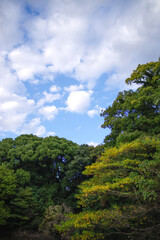 明治神宮の紅葉と秋空