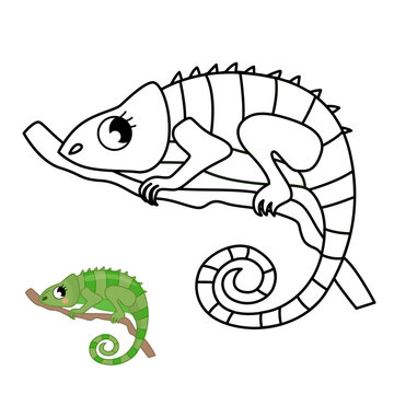 Coloring book for children. Chameleon outline  illustration.
