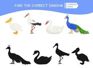 Educational  game for children. Find the right shadow. Kids activity with cute cartoon birds.