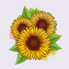 Hand drawn natural exquisite sunflowers, blooming sunflowers in spring with watercolors splashes