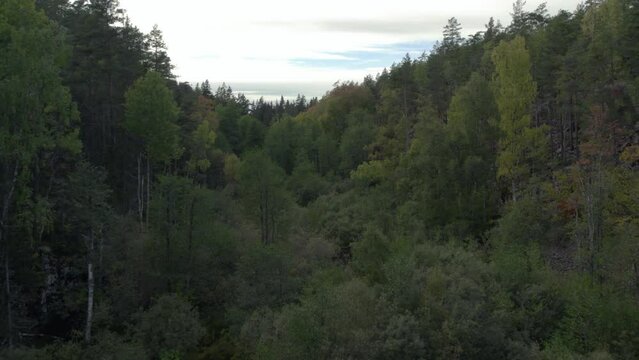 Fly low through valley in autumn Sweden prt 3