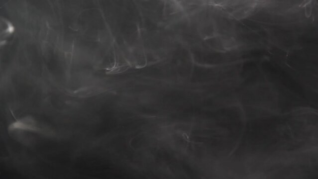 Smoke curls against a black background 2.