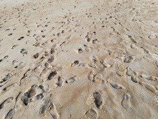 footprint in sand