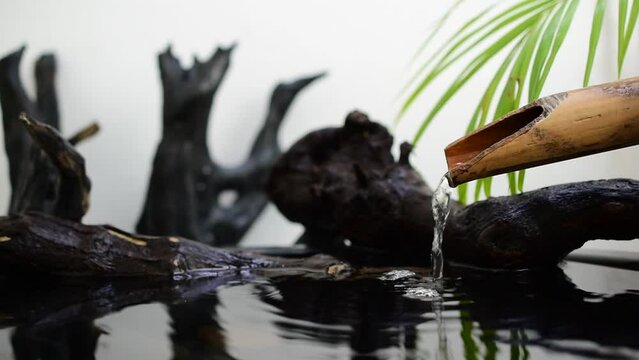 Flowing water, bamboo gutter pipes with black tree stumps, spa treatment concept.