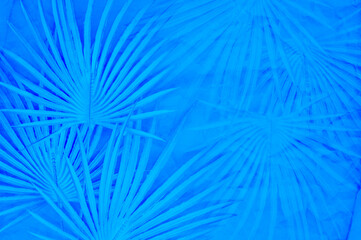 abstract blue background with palm leaves on a craft paper
