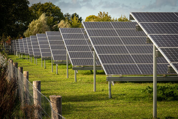 Field with solar cells, large solar panel park in The Netherlands - obrazy, fototapety, plakaty