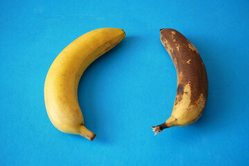 New and old  bananas on blue background, fresh vs ripe concept, rotten and fresh bananas,