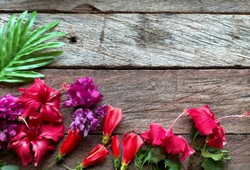 Fototapeta na wymiar Pink flowers on wooden background