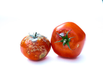 moldy tomatoes isolated on white background
