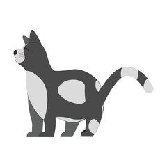 CAT VECTOR ILLUSTRATION