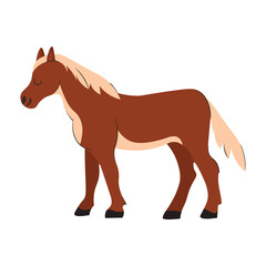HORSE VECTOR ILLUSTRATION