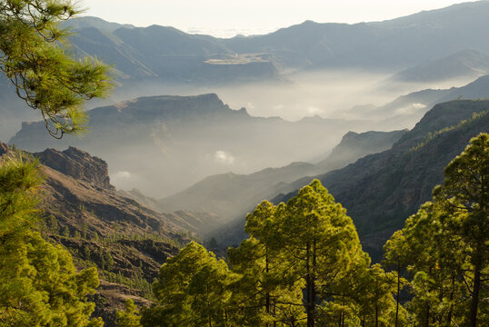 Integral Natural Reserve of Inagua, Mesa del Junquillo and Mesa de Acusa. The Nublo Rural Park. Gran Canaria. Canary Islands. Spain.