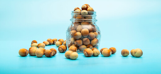 Hazelnut in a jar. Lots of hazelnuts. Bank with nuts on a blue background.