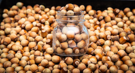Hazelnut in a jar. Lots of hazelnuts. Bank with nuts on a black background.