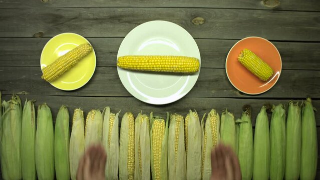 Corn on the table. Flat layout. On an old wooden table are unpeeled corncobs and two plates of cooked corn. Male hands put a plate of cooked corn on the table.
