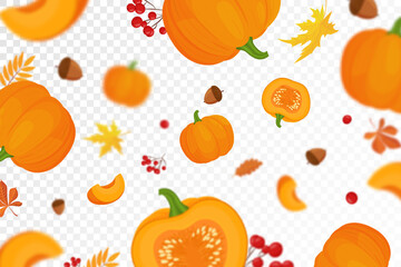 Background of orange autumn pumpkins with defocused blur effect for Harvest festival or Thanksgiving day. Pumpkins of different size on transparent background. Vector flat design