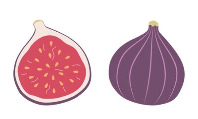 Ripe figs. Whole fruit and half cut. Flat vector illustration isolated on white background.