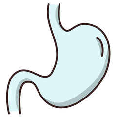 stomach anatomy biology illustration