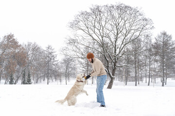 Young man in beige sweater and blue jeans playing with white dog golden retriever during snowfall outdoor in public park. Winter time. Leisure games, outside pursuit activity. Domestic pet training.