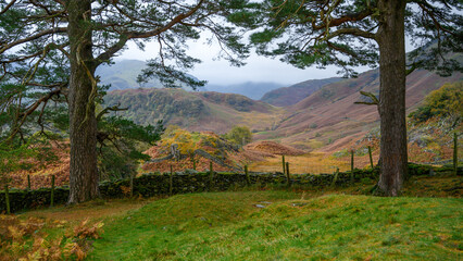 Cumbrian Fells framed by two trees